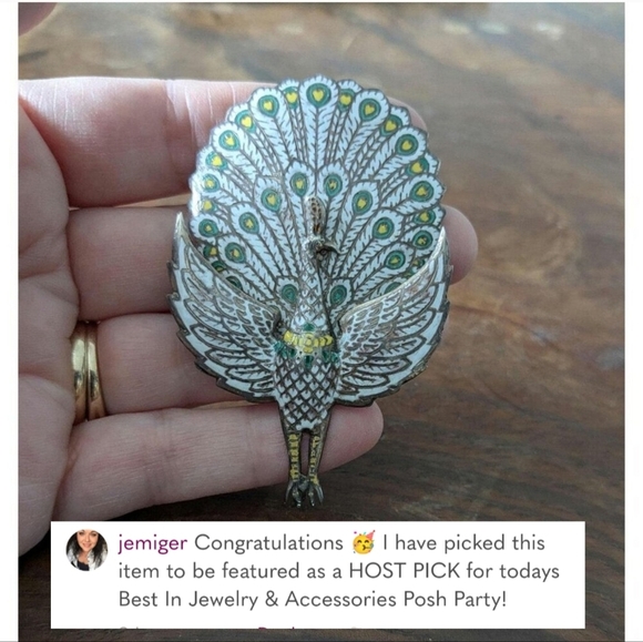 🎉Host Pick💖Art Nouveau Enamel and  Silver Hinged Peacock Brooch from Siam - Picture 9 of 9